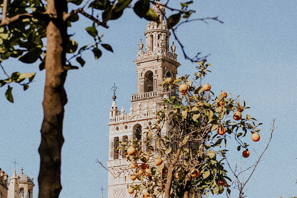 Spanien. Bild: Carla Maestro/Unsplash